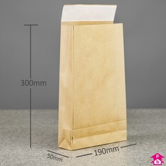 Paper Mailing Bag with Gusset - Small (190mm wide with 50mm gusset x 300mm long, 100 gsm)