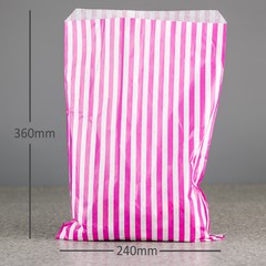 Striped Paper Bag - Large (240mm wide x 360mm high, 38gsm)