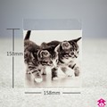 Greetings Card Bag - 158mm x 158mm + 25mm lip