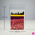Greetings Card Bag - 166mm x 230mm + 25mm lip