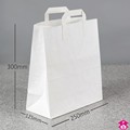 Paper Carrier Bag - 10" x 15.75" wide x 12" high