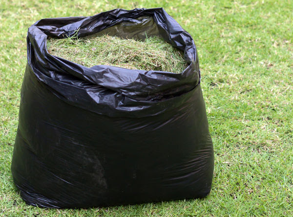 Black bag with garden waste