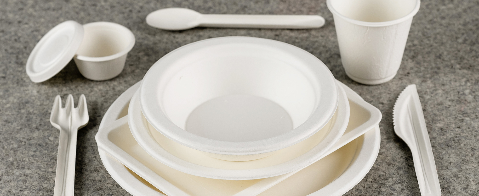 Bagasse tableware