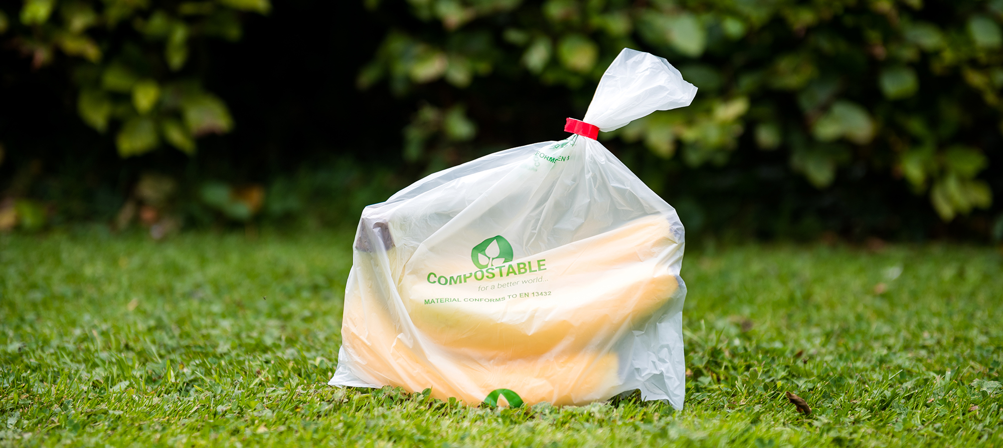 Compostable bag with bananas