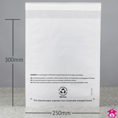 Glassine Paper Safety Bag - Perforated + PWN - Medium - 250mm wide x 300mm long, 35gsm thickness (Medium)