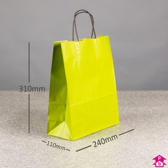 Green Paper Carrier Bag - Medium (240mm wide x 110mm gusset x 310mm high)