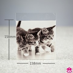 Greetings Card Bag (158mm x 158mm + 25mm lip/flap)