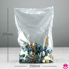 PriceBuster Clear Bags (10" wide x 15" long x 90 gauge thick)