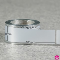 Security Label - 100mm x 30mm (W x L)