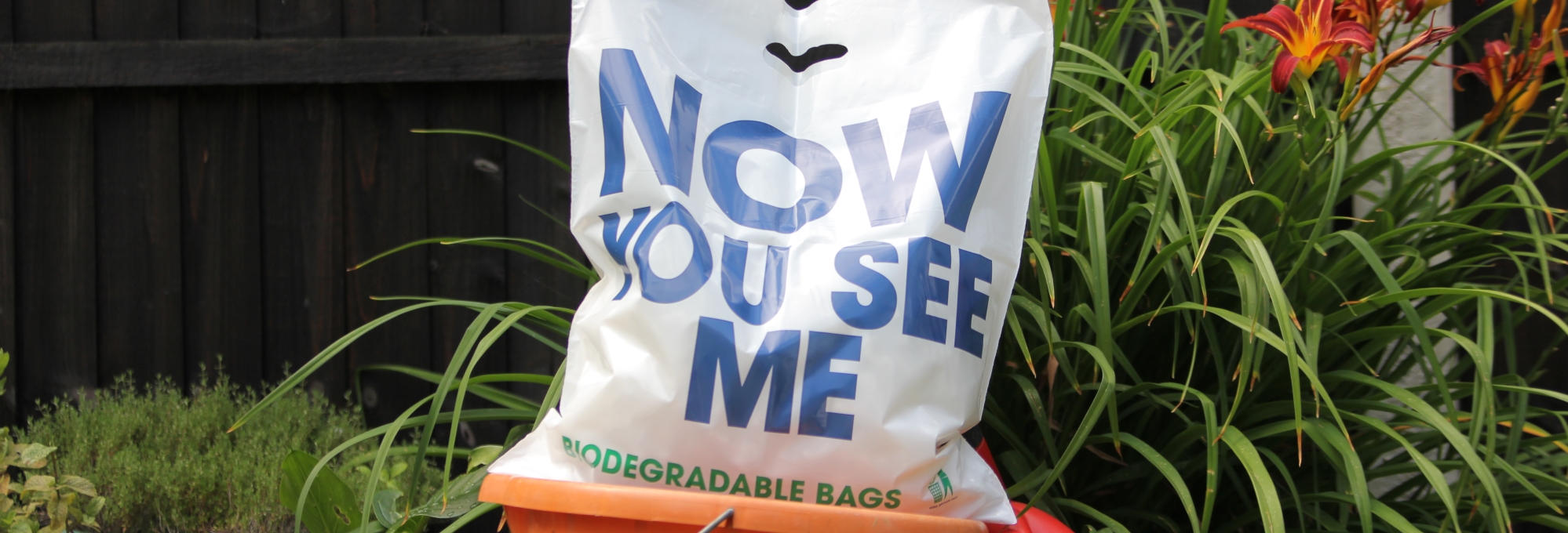 Bio-additive carrier bag
