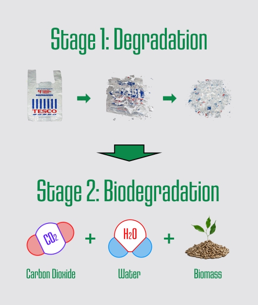 Two stage biodegradation diagram