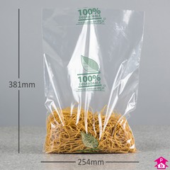 Biodegradable Bag - 254mm x 381mm x 38 micron (10" x 15" x 150 gauge)