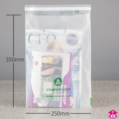 Compostable Mailing Bag - C4+ - 250mm wide x 350mm long, 40 micron thickness. (C4+ for A4+)